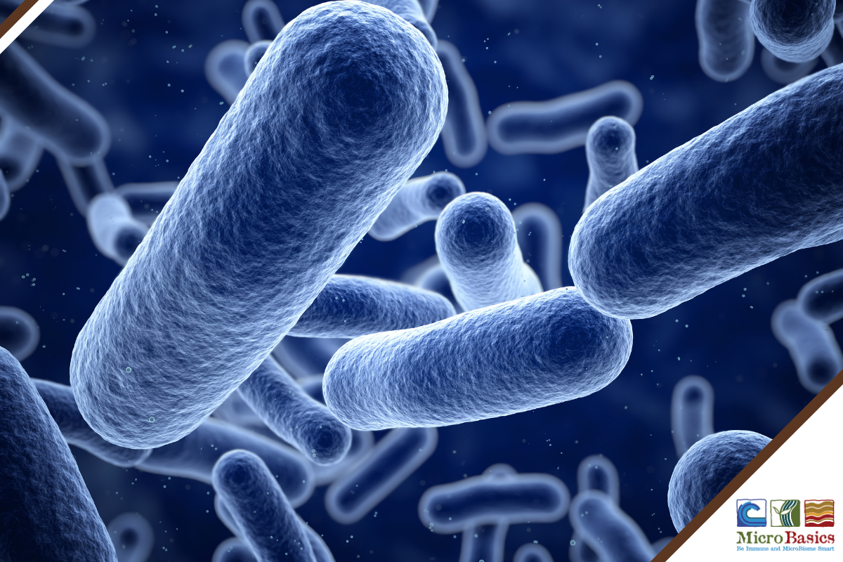 Anti-microbial Stewardship- Education Over Domination
