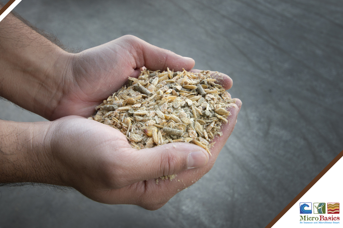 Wild Yeasts: The Hidden Feed Spoilers You Can’t Ignore