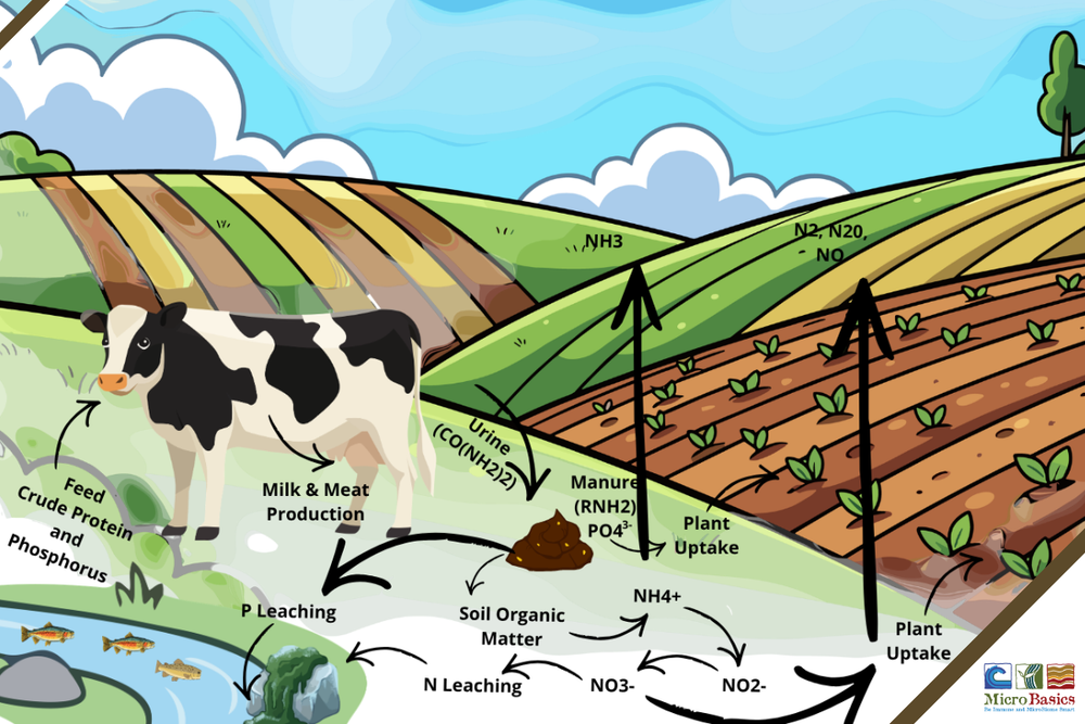Nutrient Management: Where Profit Meets Sustainability