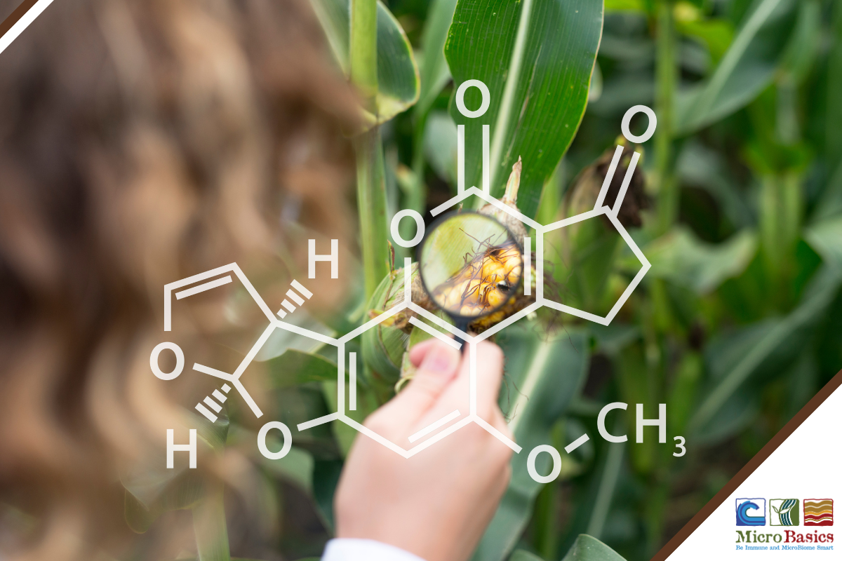 Managing Mycotoxins