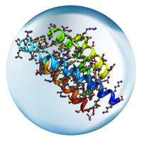 Enzymes