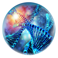 Nucleotides