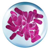 Pre, Pro & Postbiotics