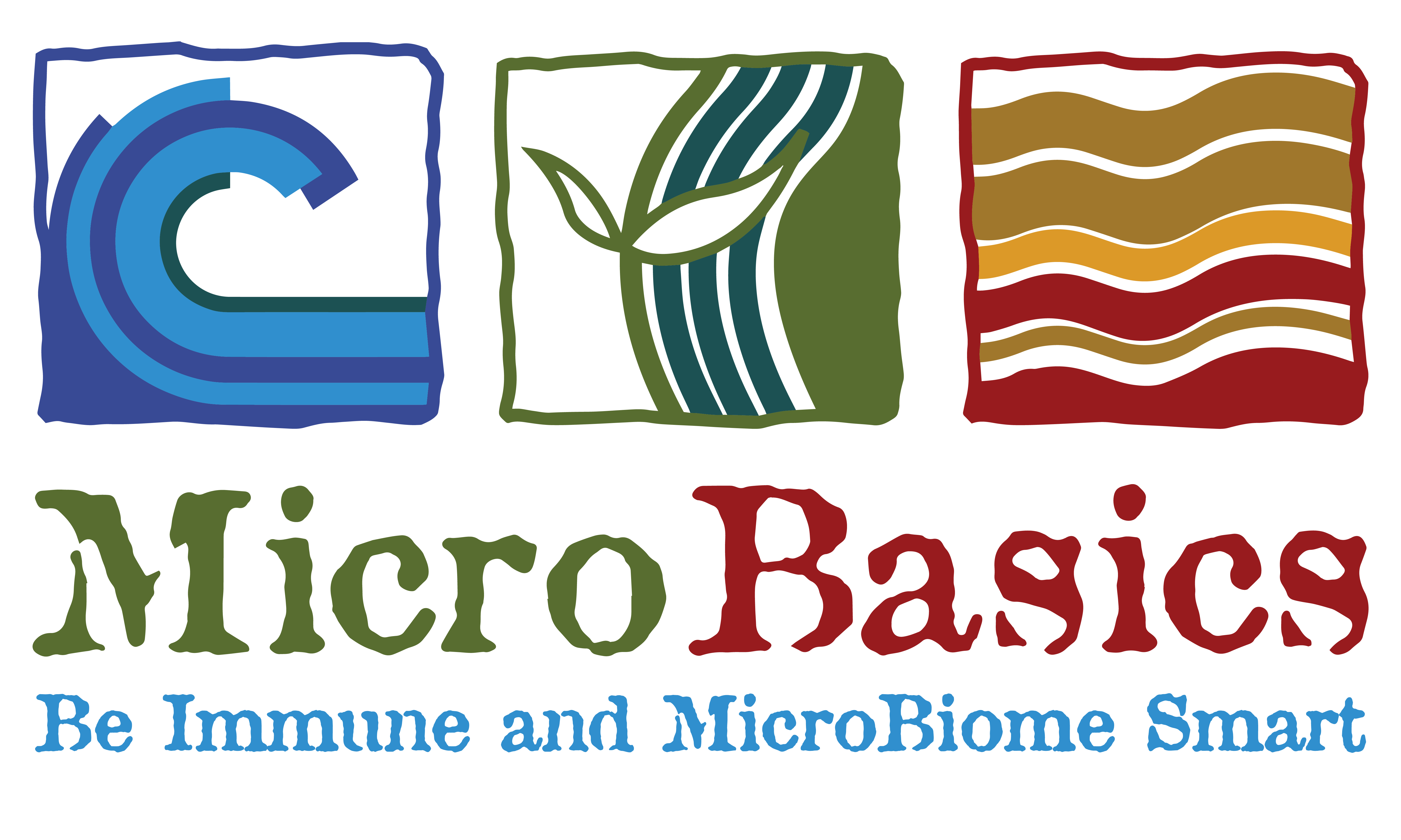 MicroBasics